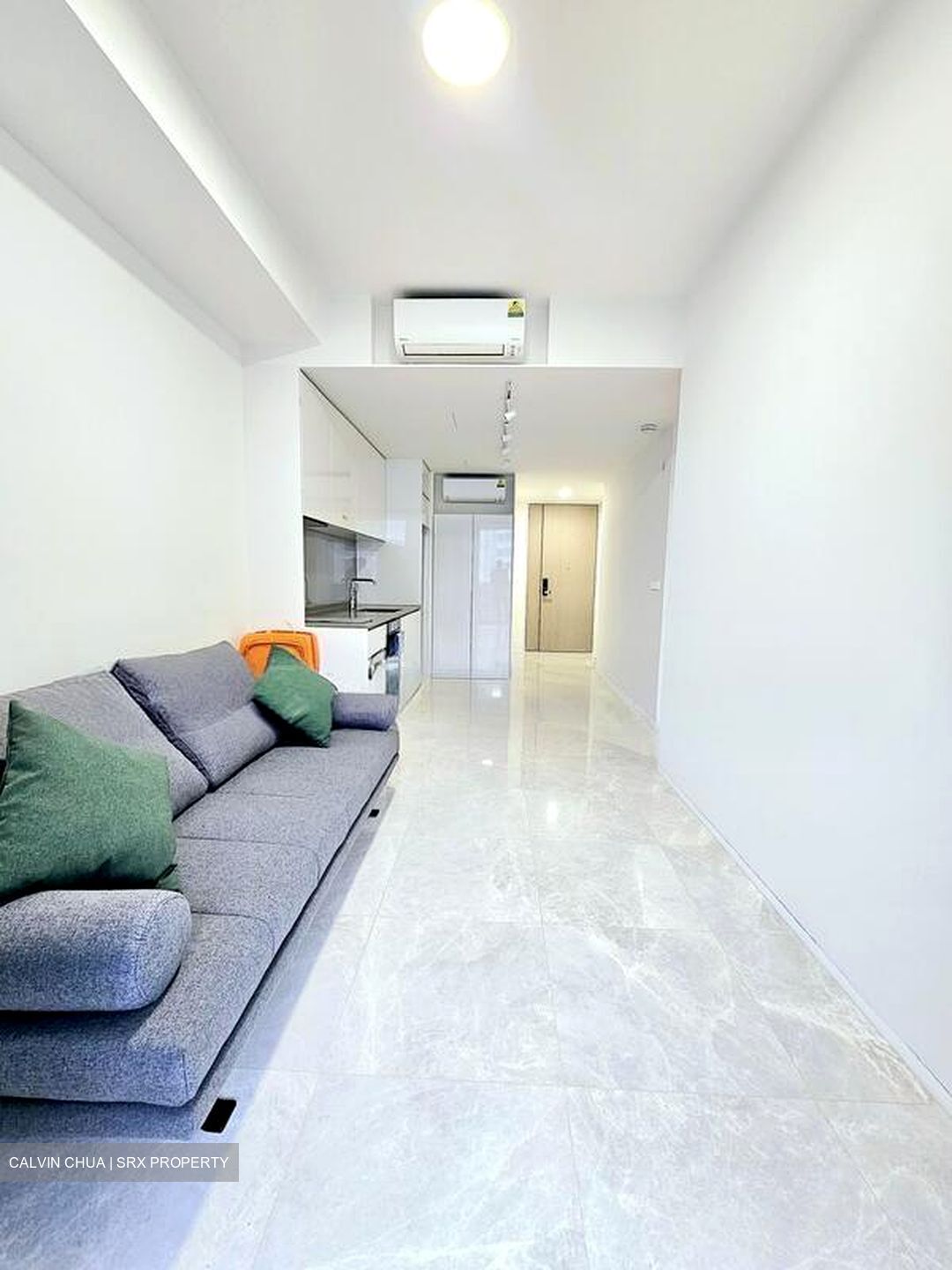 Amber Park (D15), Condominium #495895631